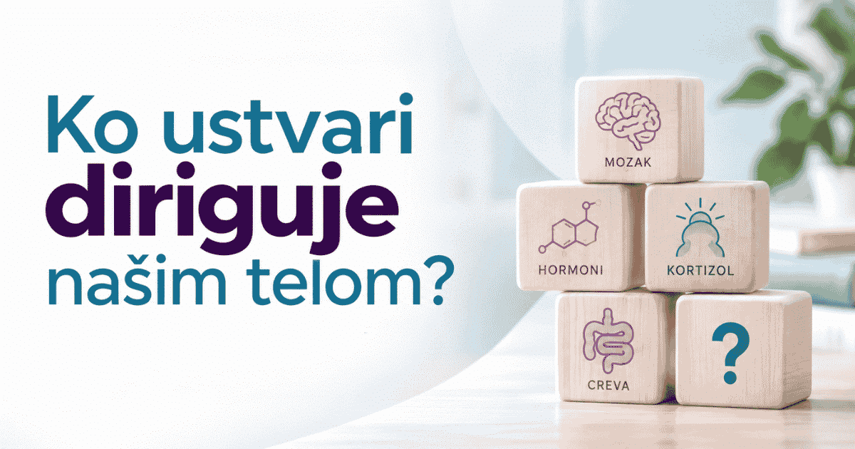 ko ustvari diriguje našim telom