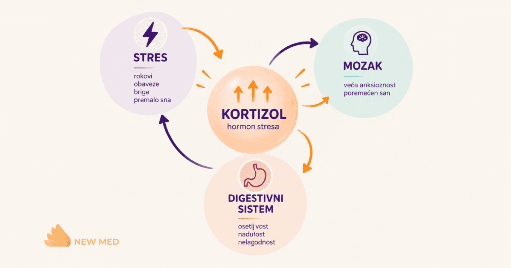 kortizol, mozak, creva